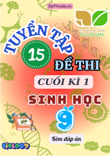 Tuyển tập 15 Đề thi cuối Kì 1 môn Sinh Học 9 sách Kết Nối Tri Thức (Kèm đáp án)